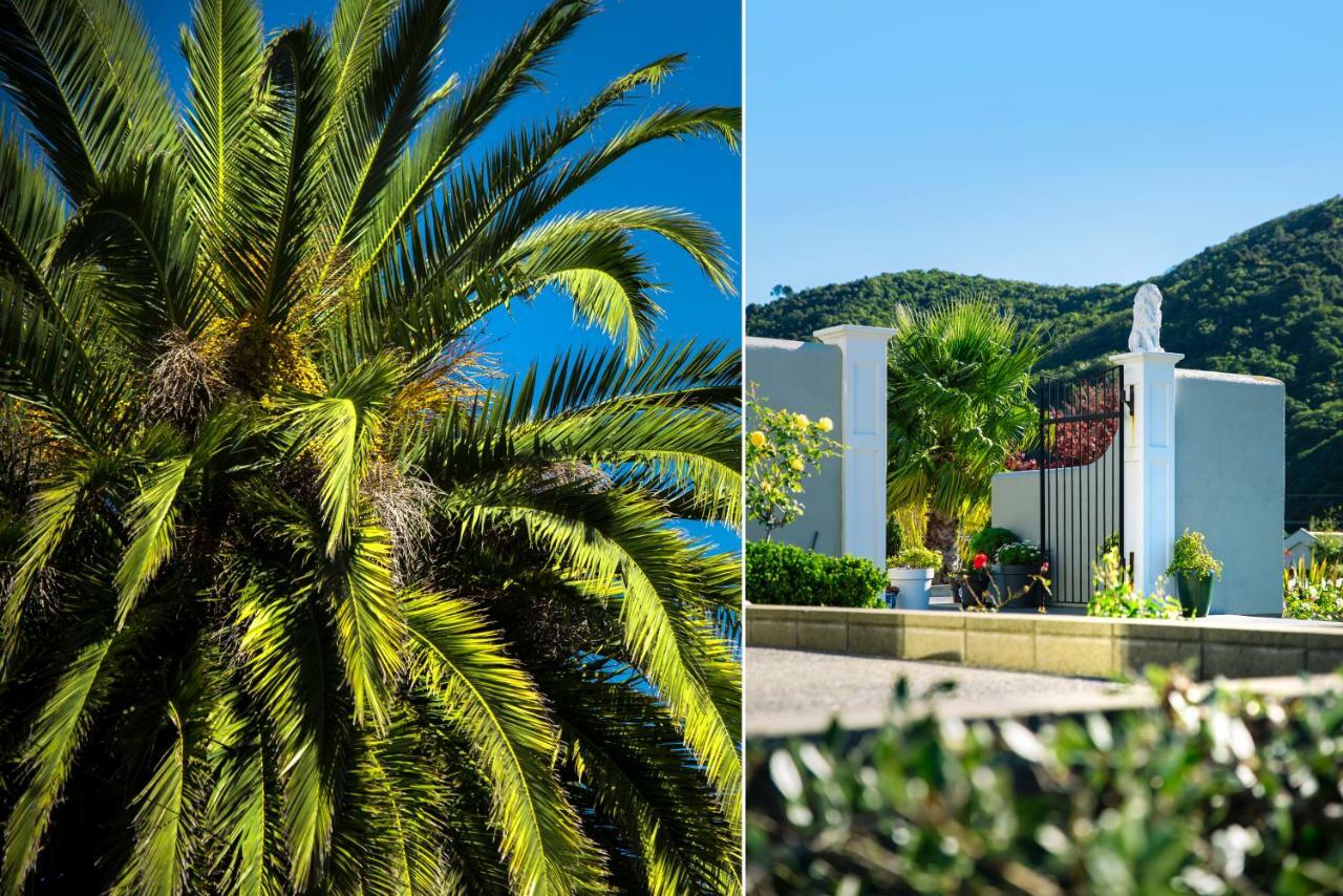 Wilkes Way Villa Picton Exteriér fotografie
